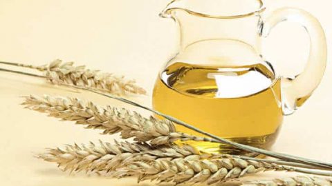 فوائد زيت جنين القمح للشعر