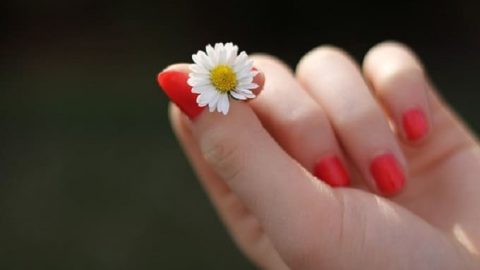 أفضل الوصفات الطبيعية لتنعيم اليدين