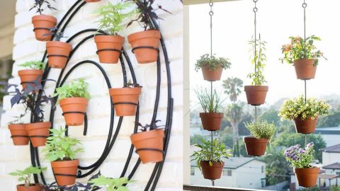 زيني منزلك بأجمل الأزهار استعدادا لفصل الصيف