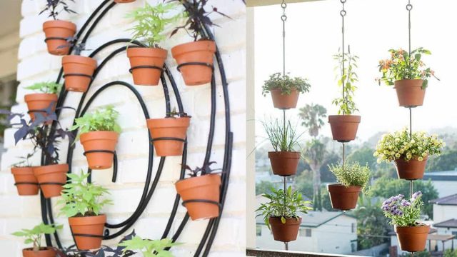 زيني منزلك بأجمل الأزهار استعدادا لفصل الصيف