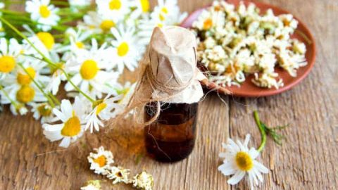 أفضل وصفات البابونج للشعر