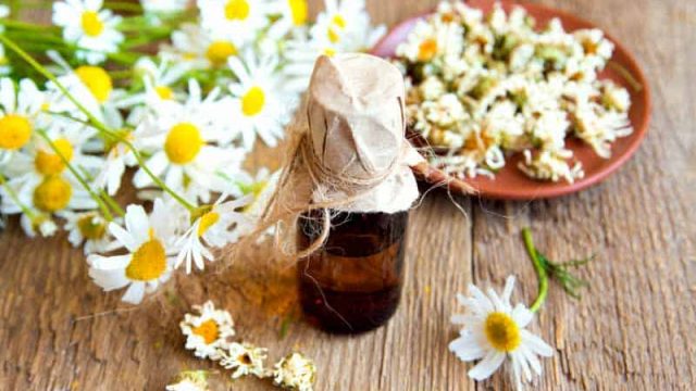 أفضل وصفات البابونج للشعر