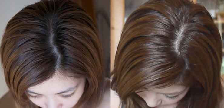 البابونج لتفتيح لون الشعر