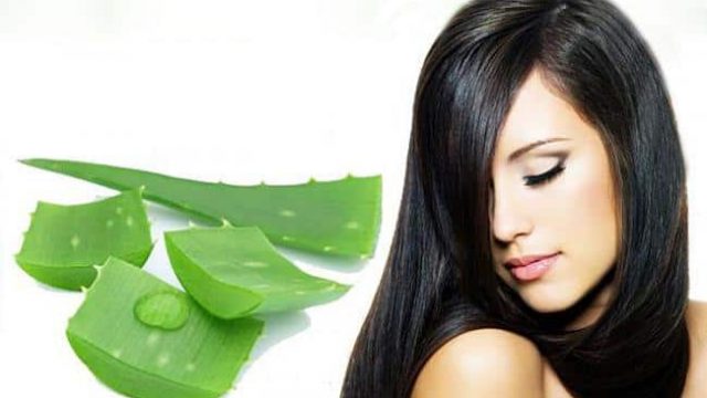 خلطة جل الصبار لتطويل الشعر والتخلص من القشرة