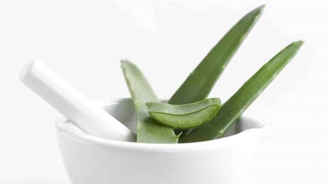 كيف نستخدم الألوة فيرا على الشعر؟
