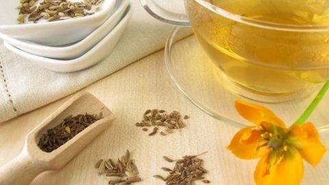 وصفات الشمر لانقاص الوزن