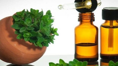 فوائد زيت البردقوش على البشرة والشعر