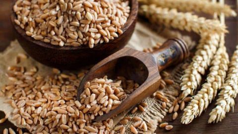 أضيفي حبوب الفارو للرجيم الخاص بانقاص الوزن