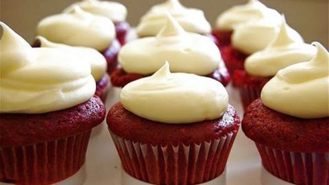 أروع كاب كيك برد فلفت