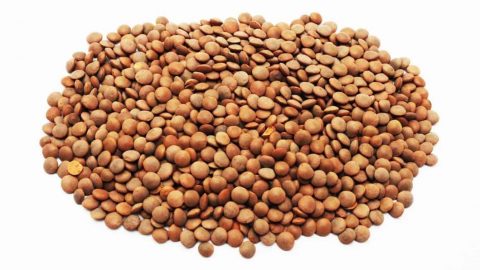 لهذا السبب عليك تناول العدس يوميا