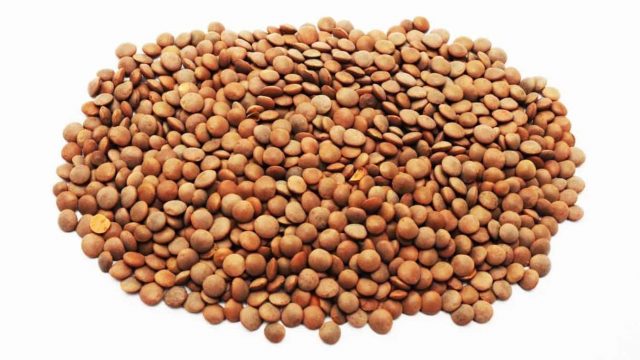 لهذا السبب عليك تناول العدس يوميا