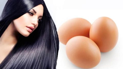 وصفات صفار البيض لشعر قوي وصحي