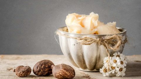 تعرفي على فوائد زبدة الشيا للجسم