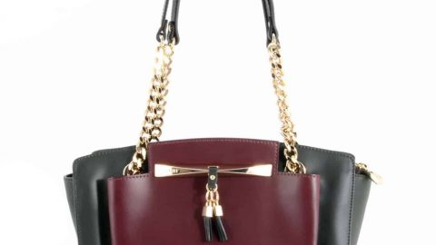 حقيبة اليد أكثر تلوثا من مقعد الحمام