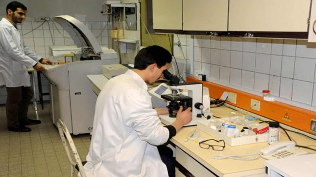 هل تنقذ الخلايا الجذعية الإنسان من مرض السكري؟