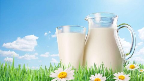 جربي النشا واللبن البودرة لبشرة نضرة