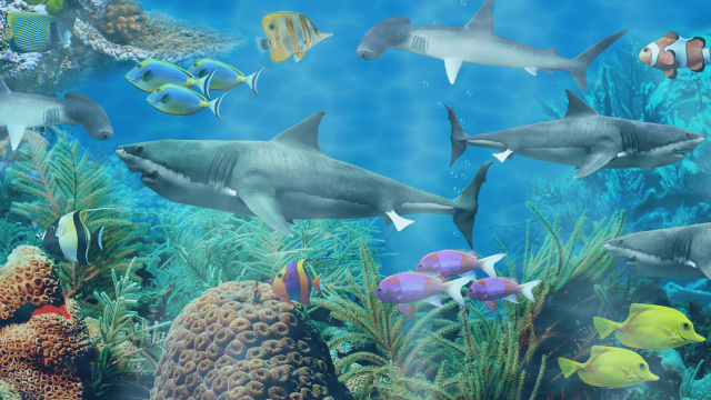 مشاهدة أحواض السمك تخفف الألم