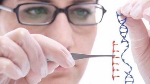 العلاج الجيني لخلية مشوهة ينجح مع مريض فرنسي