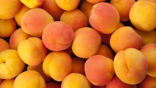 مشروبات يمكن للمرأة الحامل تناولها خلال شهر رمضان