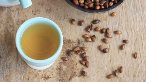 قهوة الشعير لتنحيف جسمك خلال شهر رمضان