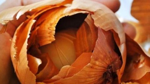 تعرفي على فوائد قشور البصل للشعر والبشرة