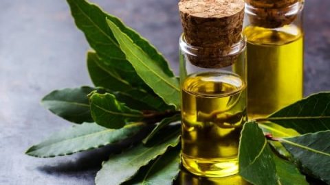 تعرفي على فوائد زيت الغاز للشعر