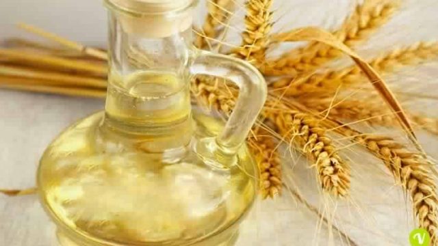 6 فوائد لزيت جنين القمح على الشعر