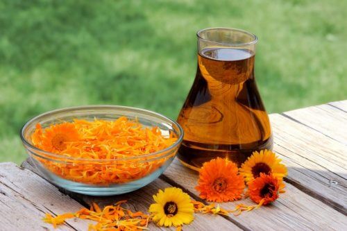 calendula-huile-remède-naturel
