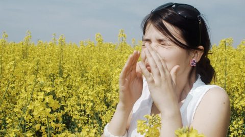 علاجات طبيعية لمكافحة الحساسية الموسمية