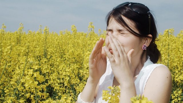 علاجات طبيعية لمكافحة الحساسية الموسمية