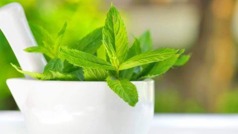 أنعشي بشرتك باستخدام خلطات النعناع الطبيعي