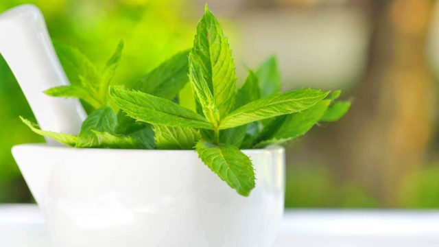 أنعشي بشرتك باستخدام خلطات النعناع الطبيعي