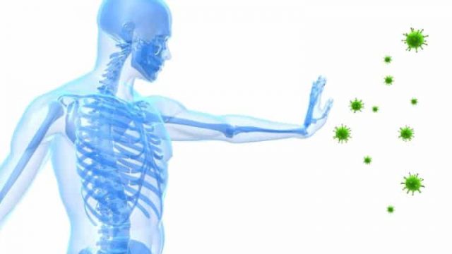 أهم الأطعمة لحماية جهاز المناعة