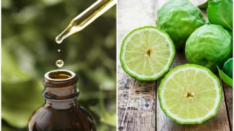 تعرفي على أهم فوائد زيت البرغموت الجمالية