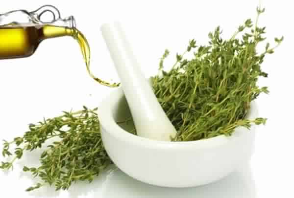 فوائد زيت الزعتر لشعر جميل وناعم