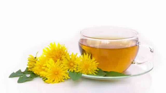 أسباب تشجعك على تناول شاي الهندباء في المساء