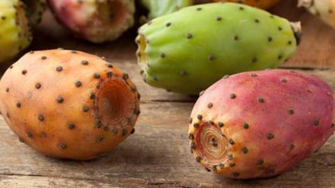 تعرفي على فوائد زيت التين الشوكي للبشرة