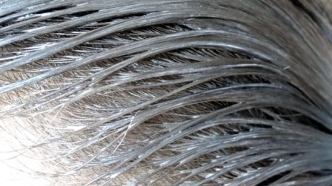 قناع كريمة جوز الهند لشعر صحي ولامع