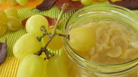 جهزي مربى العنب في فصل الصيف