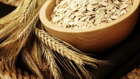 الشوفان والألوفيرا لترطيب وتهدئة البشرة في فصل الصيف