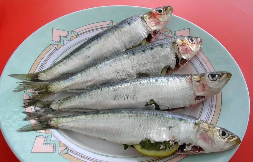 Sardines_crues-810x520