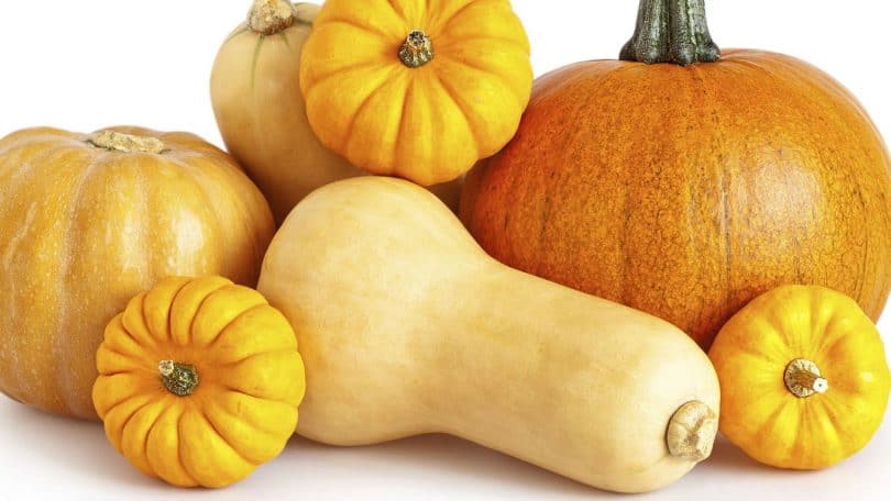 courges-une_4109902-810x456