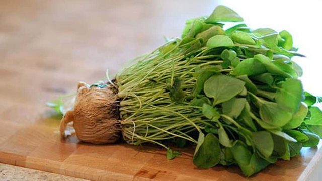 أفضل وصفات الجرجير للشعر