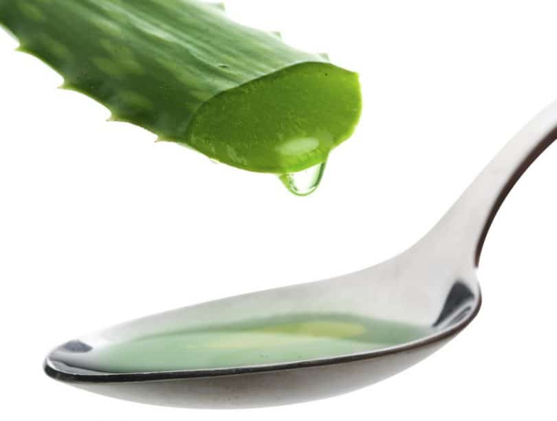 extraire-Gel-Aloe-Vera-grande-1024x774-1-810x612