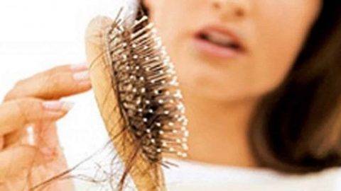 علاج الصبار وحليب جوز الهند للتخلص من تساقط الشعر