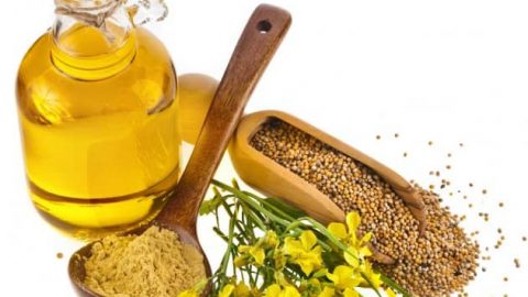 أفضل الزيوت لتنعيم الشعر