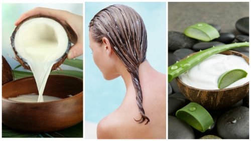 traitement-aloe-vera-coco-chute-des-cheveux-500x281-500x281