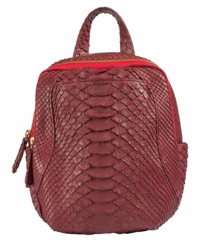 حقيبة ظهر حمراء