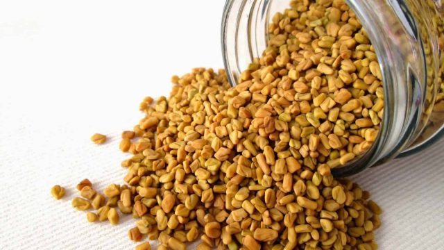 فوائد زيت الحلبة للشعر وكيفية تحضيره واستخدامه