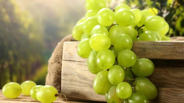 أهم فوائد العنب الأخضر للبشرة والصحة